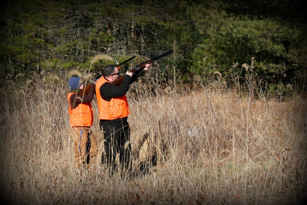 Primland_quailhunt