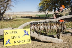 Weiser River Ranches 2016_3