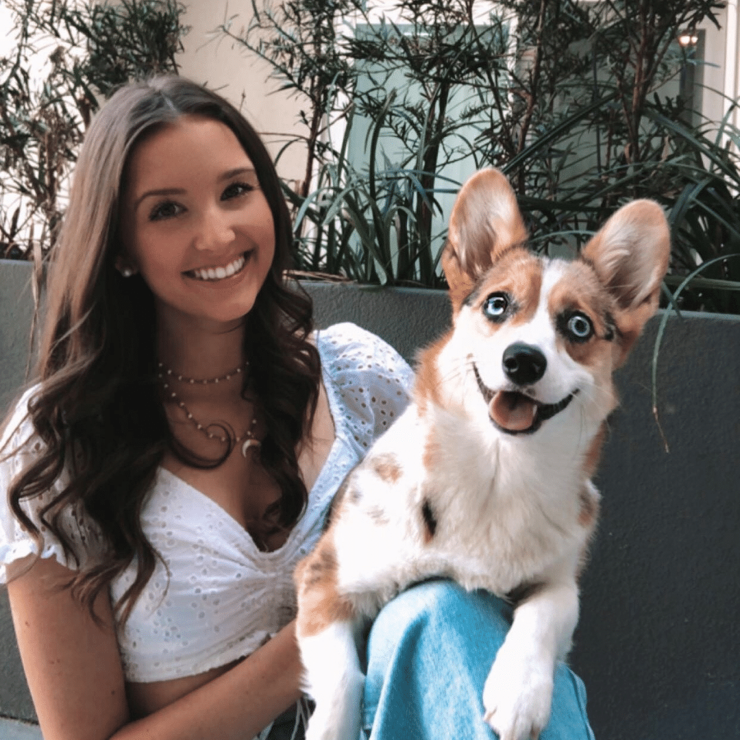Meet Our 2022 Scholarship Ambassador: Abigail Chalfant - Freedom Alliance